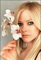 Avril Lavigne - Bytzuk - Muzica
